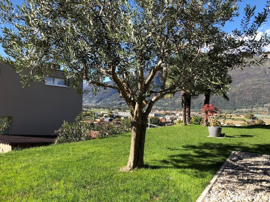 Sinergia E Benessere Sant'Antonio Exterior photo
